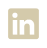Social Icon